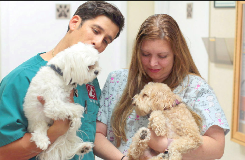 Isa Animal Clinic